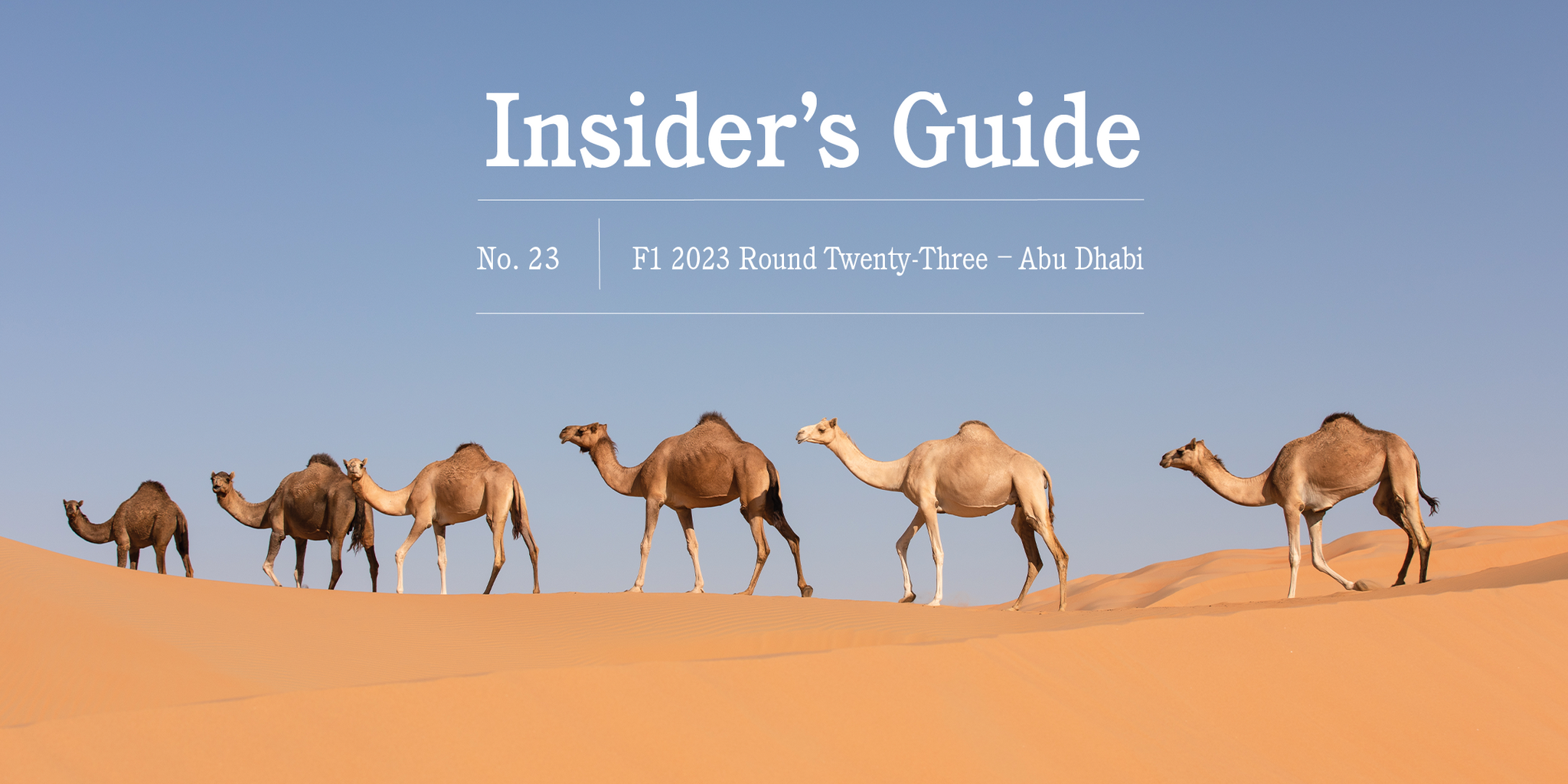F1 2023 Insider's Guide No. 23  – Abu Dhabi - GLOBE-TROTTER