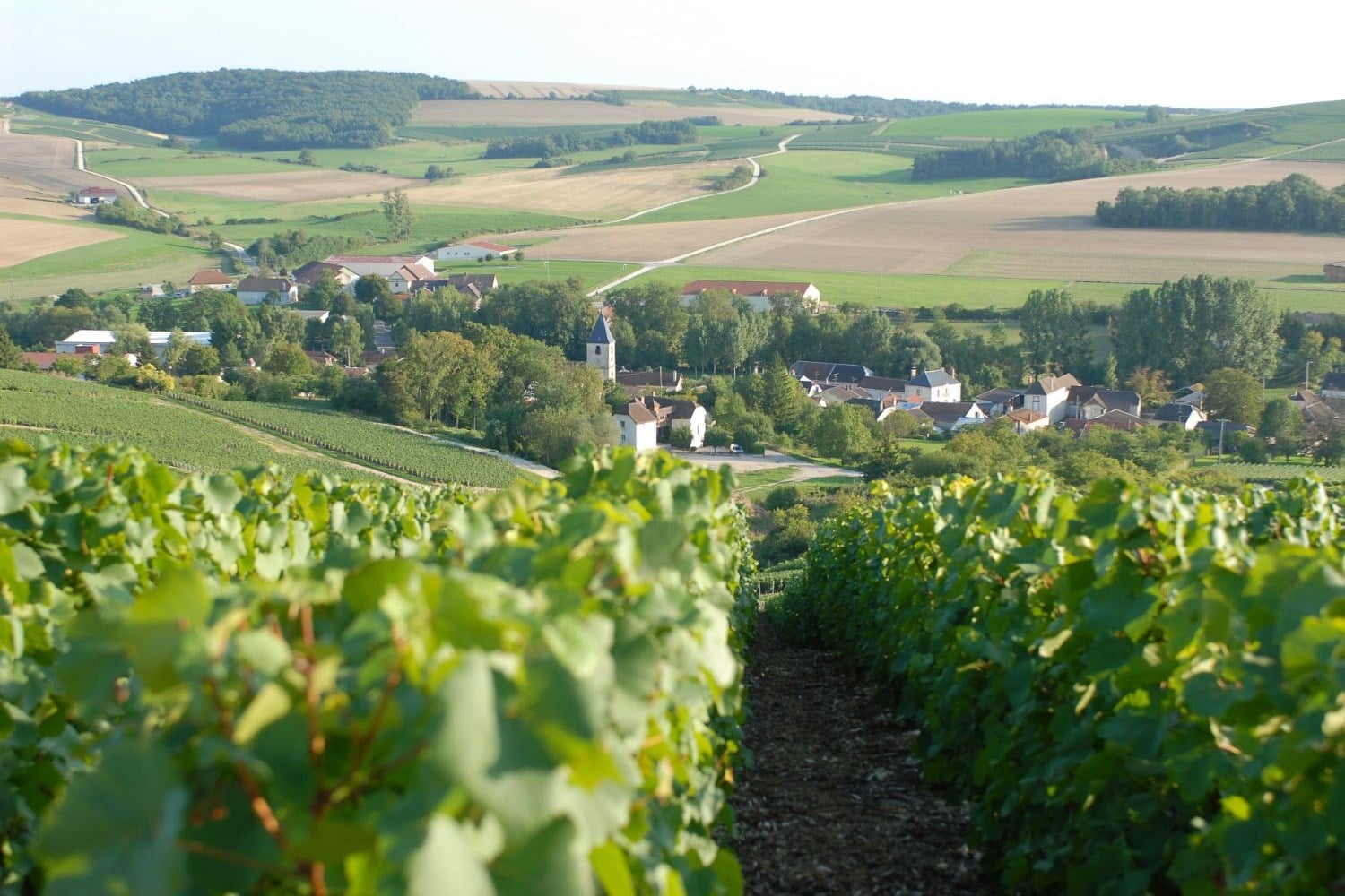 Globe-Trotter's Guide To Summer In Champagne - GLOBE-TROTTER