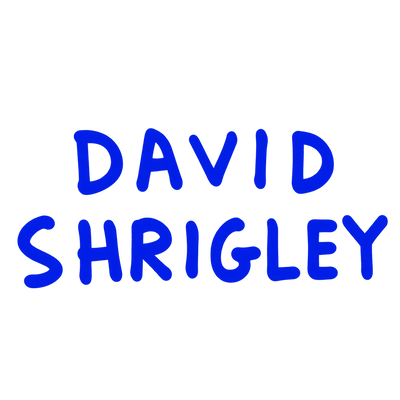 David Shrigley